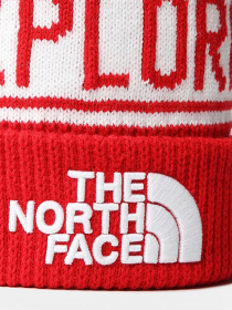 Шапка The North Face  Retro TNF™ Pom Beanie модель NF0A3FMP6821 Фото