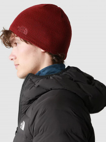 Шапка The North Face Bones Recyced Beanie модель NF0A3FNS6R31 Фото
