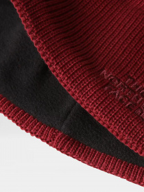 Шапка The North Face Bones Recyced Beanie модель NF0A3FNS6R31 Фото