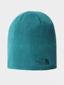 Шапка The North Face модель NF0A3FNS2W91 Фото