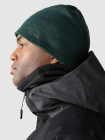 Шапка The North Face Bones Recyced Beanie модель NF0A3FNSD7V1 Фото