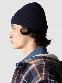 Шапка The North Face DOCK WORKER RECYCLED BEANIE модель NF0A3FNT8K21 Фото