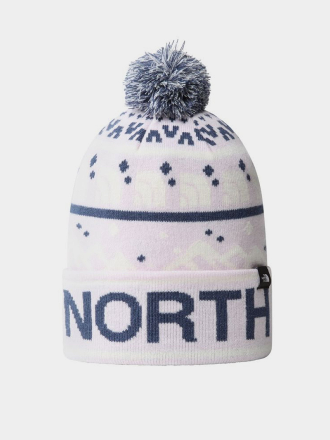 Шапка The North Face Ski Tuke модель NF0A4SIE91Q1 Фото