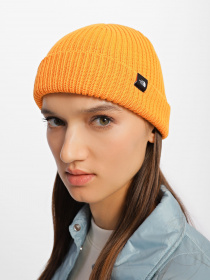 Шапка The North Face Fisherman модель NF0A55JG78M1 Фото