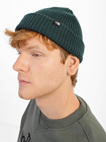 Шапка The North Face Fisherman модель NF0A55JGE801 Фото