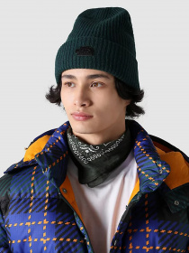 Шапка The North Face City Street модель NF0A55K3D7V1 Фото