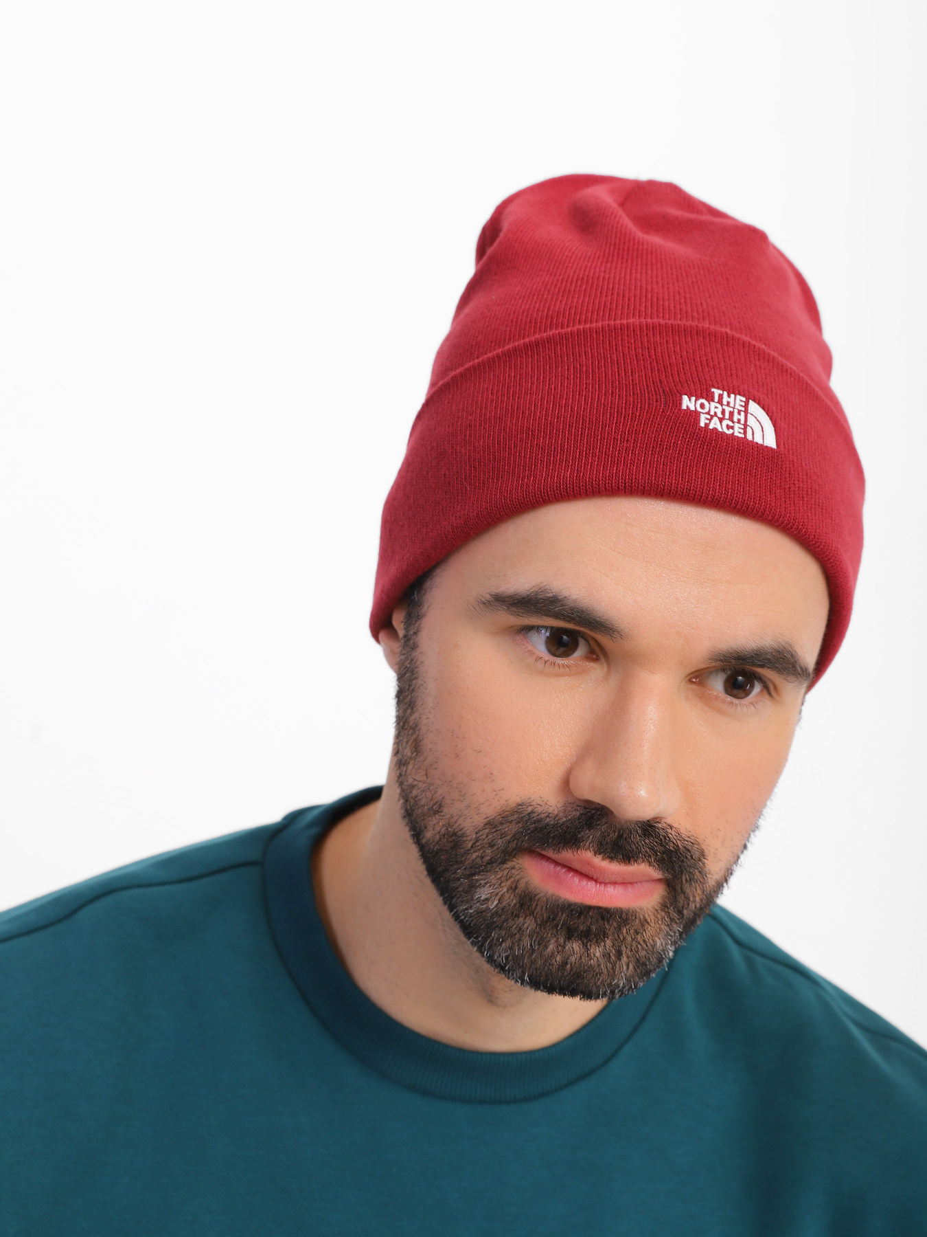 Шапка The North Face Norm модель NF0A5FW16R31 Фото