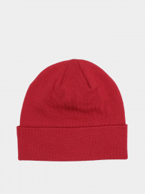 Шапка The North Face Norm модель NF0A5FW16R31 Шапка The North Face Norm модель NF0A5FW16R31 Фото