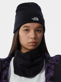 Шапка The North Face Norm Beanie модель NF0A5FW1JK31 Фото
