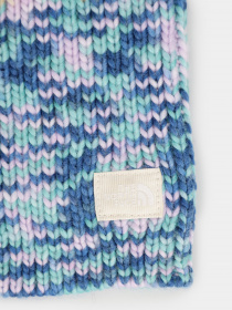 Шапка The North Face Shinsky модель NF0A7RI192T1 Фото