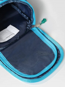 Рюкзаки The North Face Y Mini Explorer модель NF0A52VW94A1 Фото