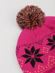 Шапка The North Face Ski Tuke модель NF0A7WG61461 Шапка The North Face Ski Tuke модель NF0A7WG61461 Фото