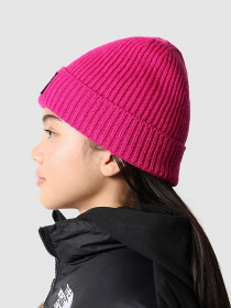 Шапка The North Face Kids Box Logo Cuffed Beanie модель NF0A7WGC1461 Фото