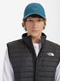 Кепка The North Face Norm модель NF0A3FKNEFS1 Фото