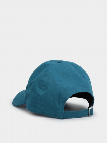 Кепка The North Face Norm модель NF0A3FKNEFS1 Фото