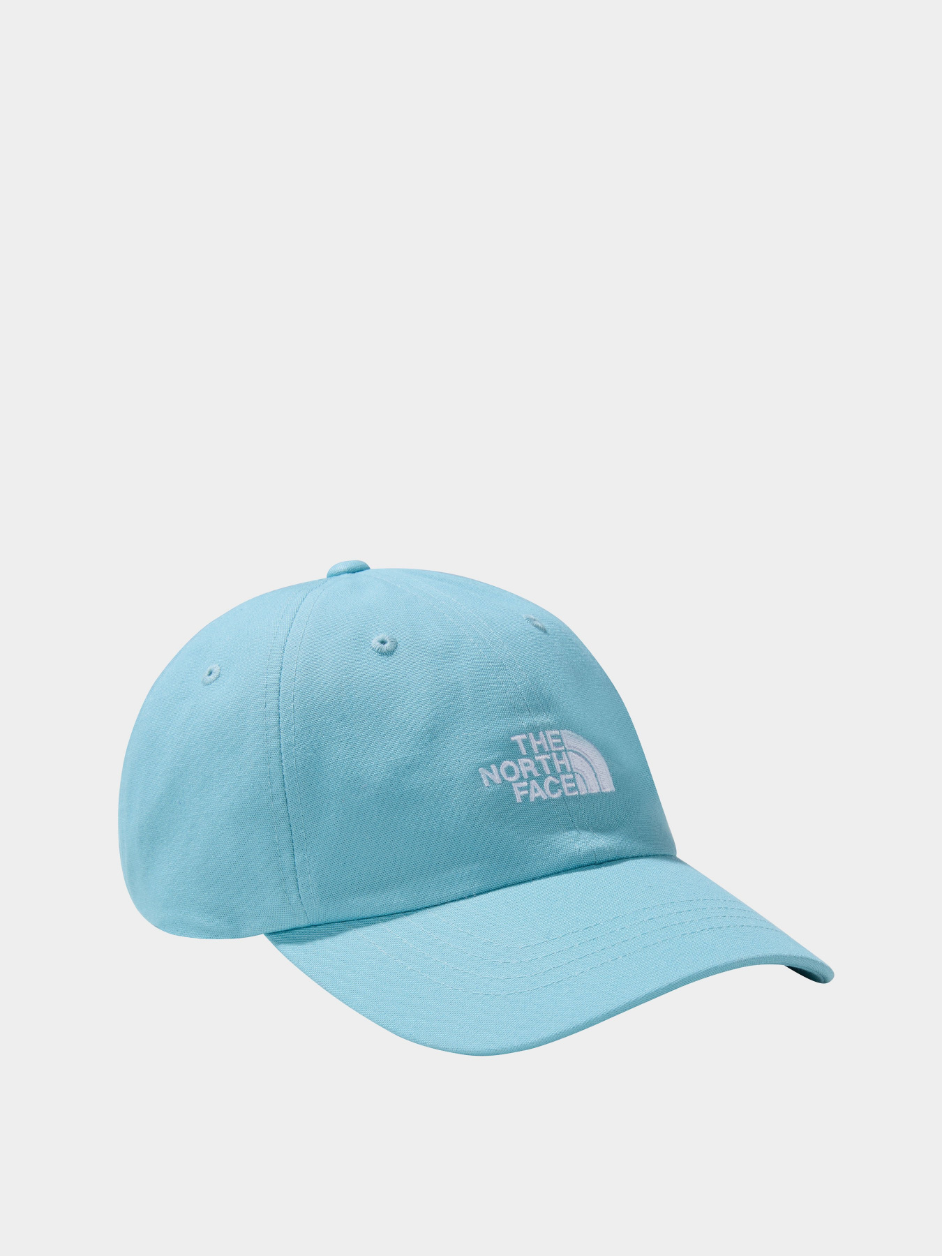 Кепка The North Face Norm модель NF0A3SH3LV21 Фото