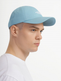 Кепка The North Face Norm модель NF0A3SH3LV21 Фото