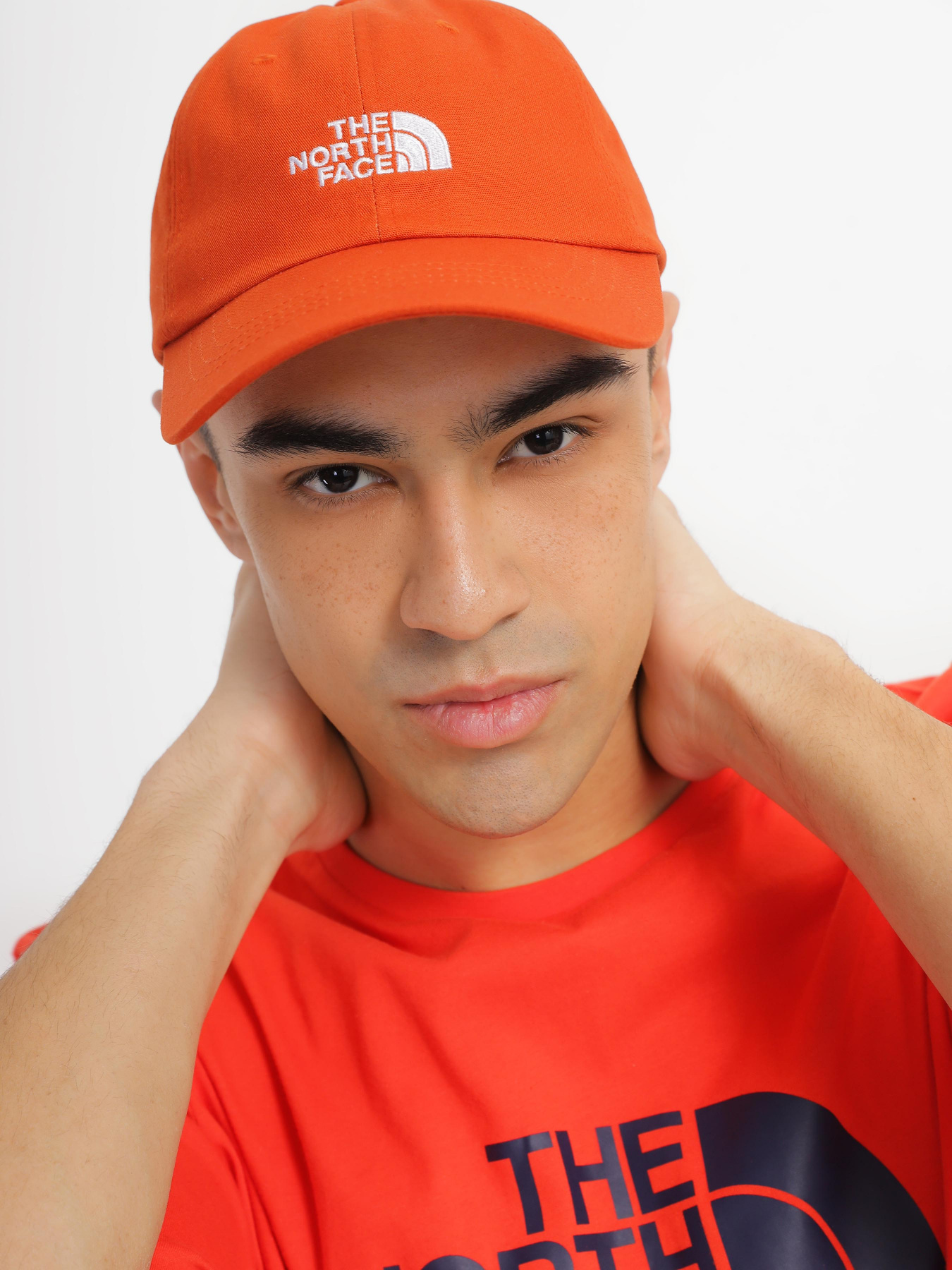 Кепка The North Face Norm модель NF0A3SH3LV41 Фото