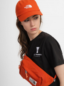 Кепка The North Face Norm модель NF0A3SH3LV41 Фото