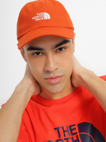 Кепка The North Face Norm модель NF0A3SH3LV41 Фото