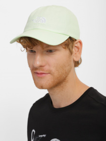 Кепка The North Face Norm модель NF0A3SH3N131 Фото