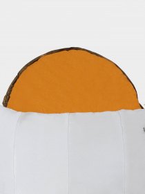 Спальник The North Face Lynx Eco модель NF0A52E34K61 Фото