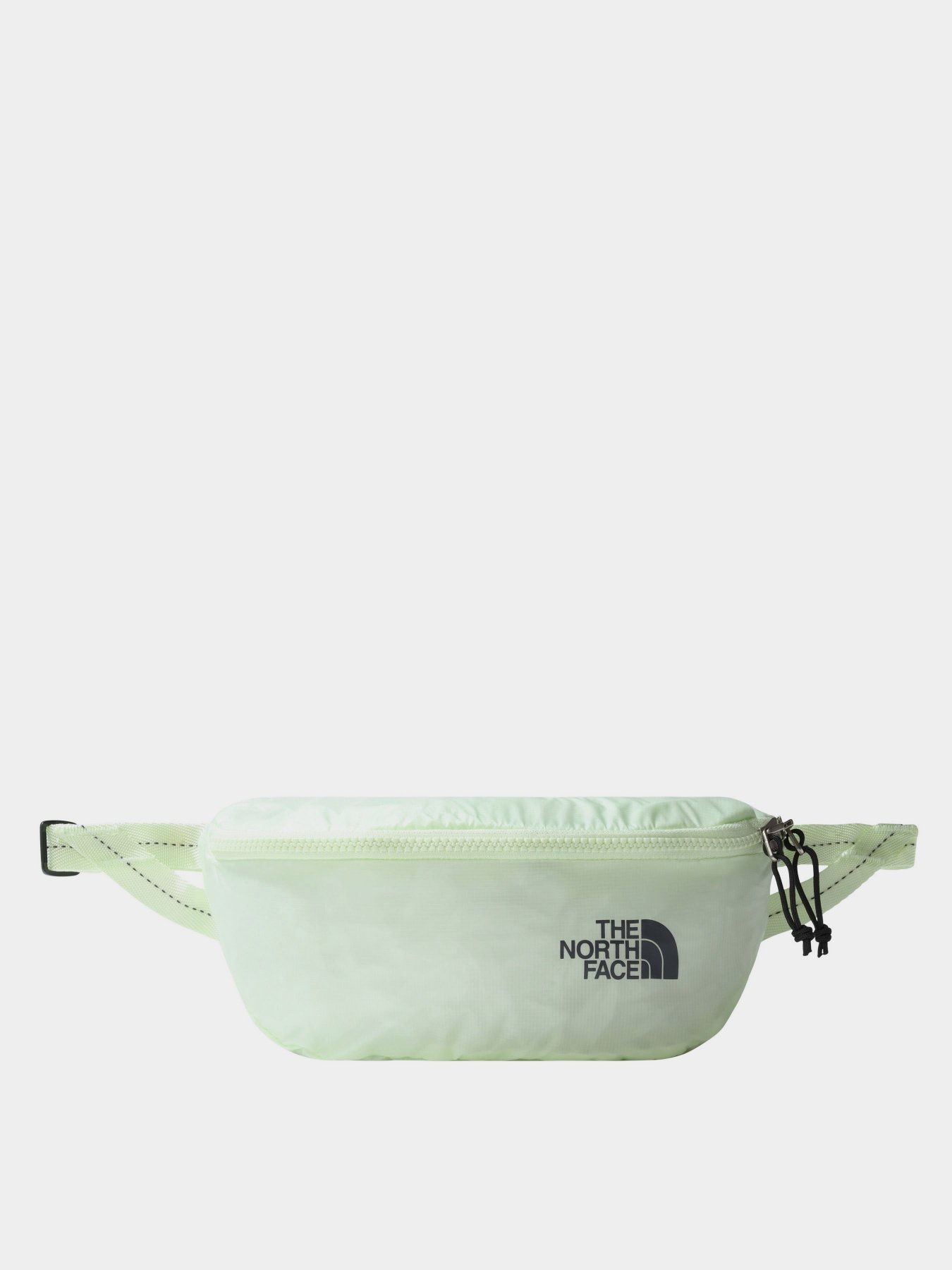 Поясная сумка The North Face модель NF0A52TJIJR1 Фото