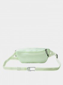 Поясная сумка The North Face модель NF0A52TJIJR1 Фото