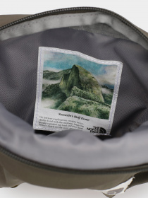 Поясная сумка The North Face модель NF0A52VUKV71 Фото