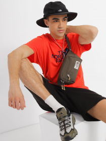 Поясная сумка The North Face модель NF0A52VUKV71 Фото