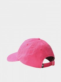 Кепка The North Face Horizontal Embro модель NF0A5FY1N0T1 Фото