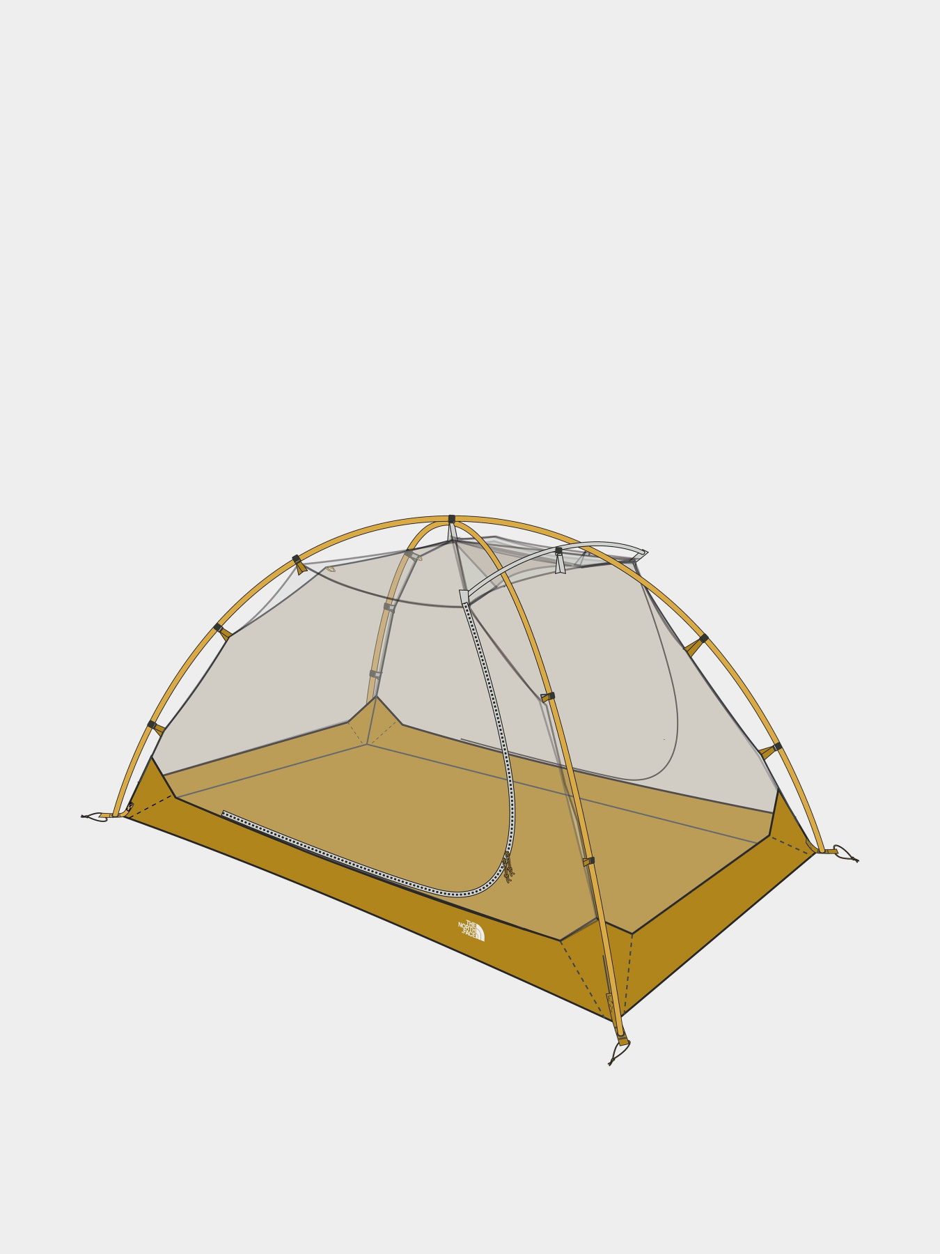 Палатка The North Face Trail Lite 2 модель NF0A81C5IV81 Фото