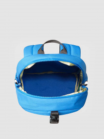 Рюкзак The North Face MINI RECON модель NF0A52VXOPU1 Фото