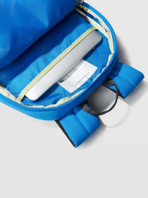 Рюкзак The North Face MINI RECON модель NF0A52VXOPU1 Фото