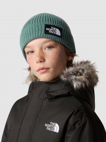 Шапка The North Face Box Logo Cuffed модель NF0A7WGCI0F1 Фото