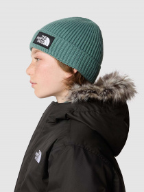 Шапка The North Face Box Logo Cuffed модель NF0A7WGCI0F1 Фото
