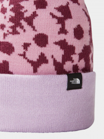 Шапка The North Face Ski Tuke модель NF0A7WJ8ON71 Фото