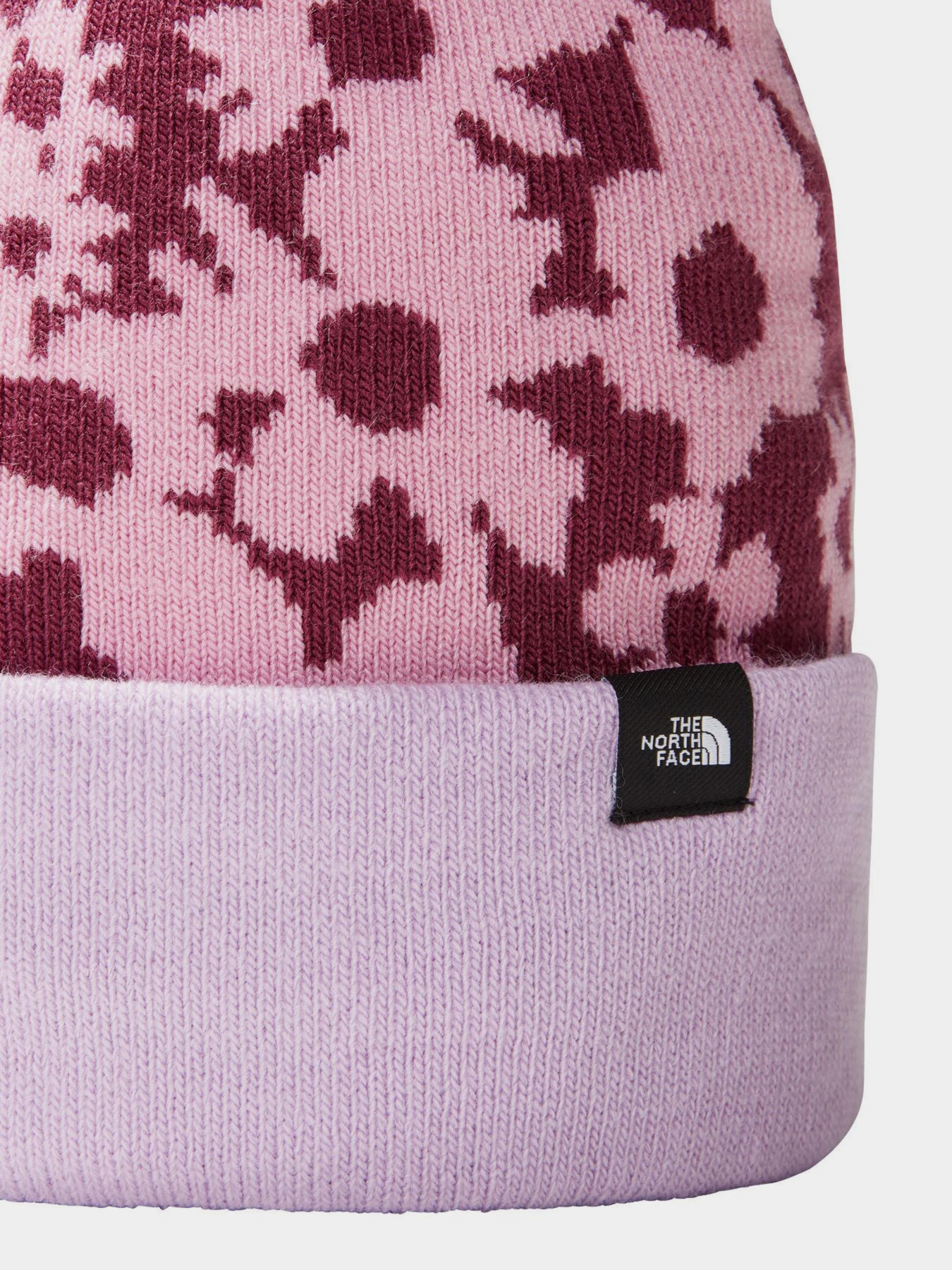 Шапка The North Face Ski Tuke модель NF0A7WJ8ON71 Фото