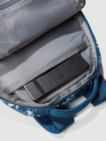 Повседневный рюкзак The North Face Borealis Mini модель NF0A52SWOU01 Повседневный рюкзак The North Face Borealis Mini модель NF0A52SWOU01 Фото