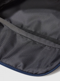 Поясная сумка The North Face Jester Lumbar модель NF0A52TMOLC1 Фото