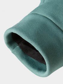 Перчатки The North Face Rino модель NF0A55KZI0F1 Фото