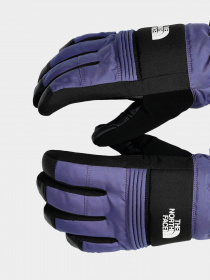 Перчатки The North Face Montana Ski модель NF0A7RGUI0D1 Фото