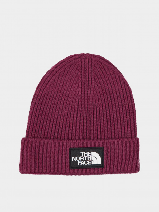 Шапка The North Face Logo Box Cuffed модель NF0A3FJXI0H1 Фото
