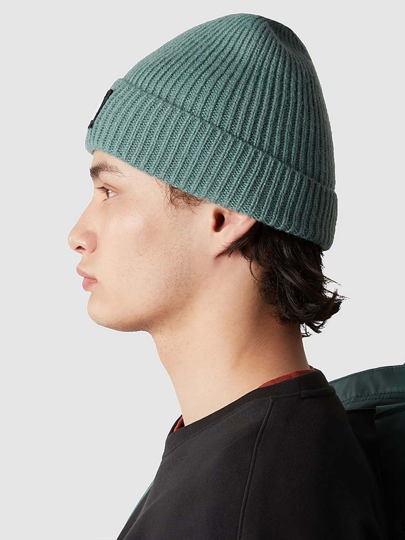 Шапка The North Face Logo Box Cuffed Beanie модель NF0A3FJXI0F1 Фото