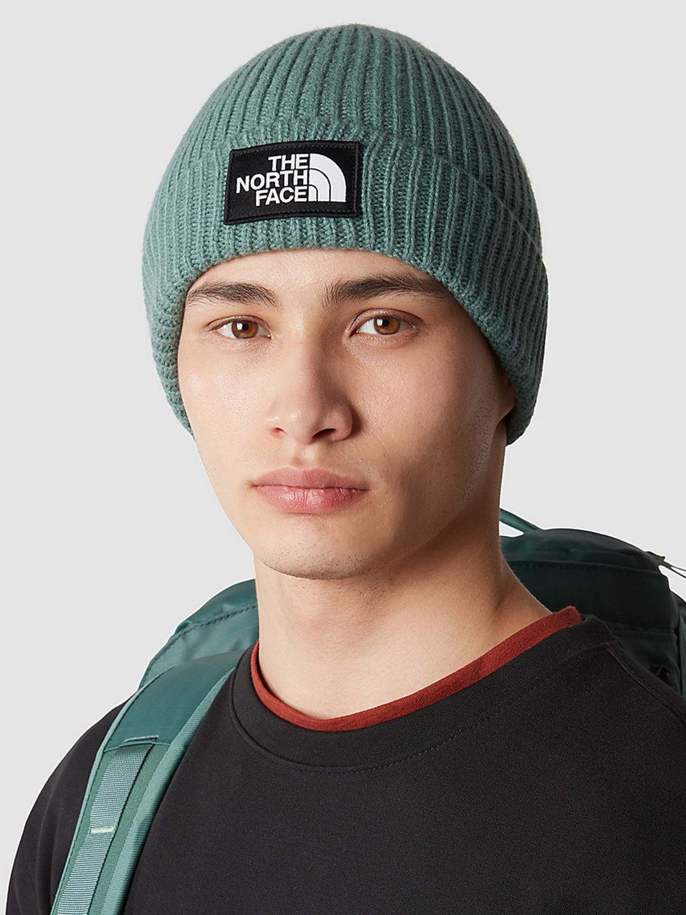 Шапка The North Face Logo Box Cuffed Beanie модель NF0A3FJXI0F1 Фото