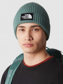 Шапка The North Face Logo Box Cuffed Beanie модель NF0A3FJXI0F1 Фото