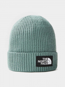 Шапка The North Face Logo Box Cuffed Beanie модель NF0A3FJXI0F1 Фото