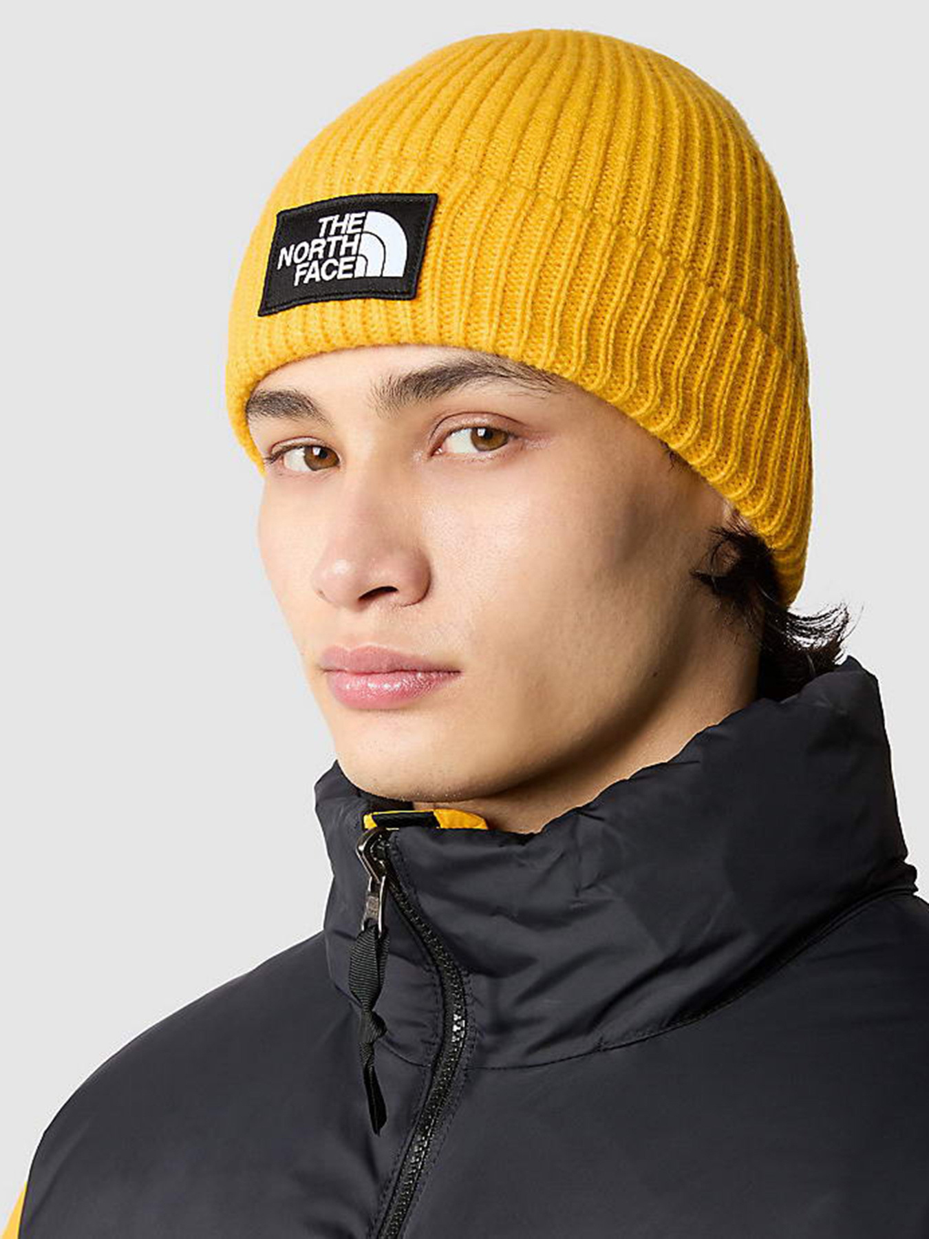 Шапка The North Face Logo Box Cuffed Beanie модель NF0A3FJX56P1 Фото