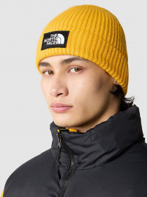 Шапка The North Face Logo Box Cuffed Beanie модель NF0A3FJX56P1 Фото