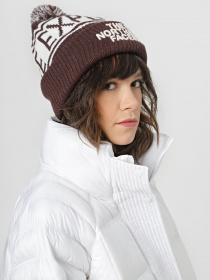 Шапка The North Face Retro TNF™ Pom Beanie модель NF0A3FMPONH1 Фото